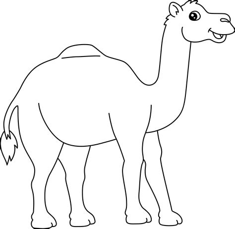 Camel Drawing Vector Art, Icons, and Graphics for Free Download