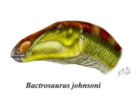 Bactrosaurus Pictures & Facts - The Dinosaur Database