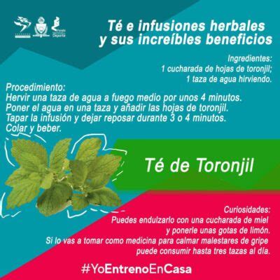 Qué beneficios tiene el té de toronjil - CONADEIP