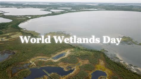 World Wetlands Day 2024 (2nd February), Theme & Significance