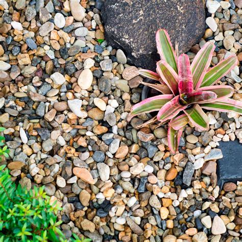 Pea Gravel Flower Bed Tips You Need to Know | Metal lawn edging ...