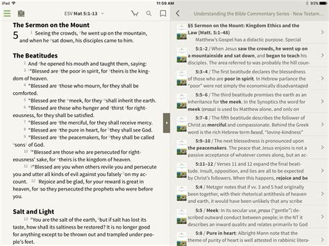 Understanding the Bible Commentary - Olive Tree Blog