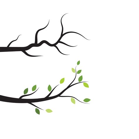 Tree branch vector ilustration design 13213319 Vector Art at Vecteezy