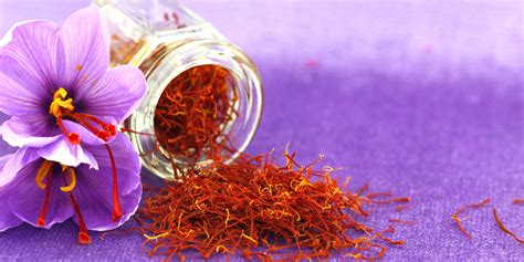 How to Grow Saffron Crocus? | DutchGrown™ | Growing & Planting Guide