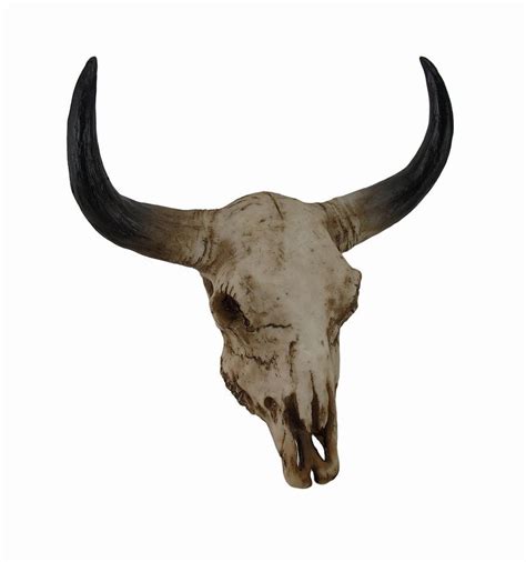 Long Horn Cow Skull Wall Hanging Longhorn Steer Décor Western Americana ...