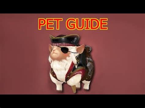 Pets explained - Cabal Online - YouTube