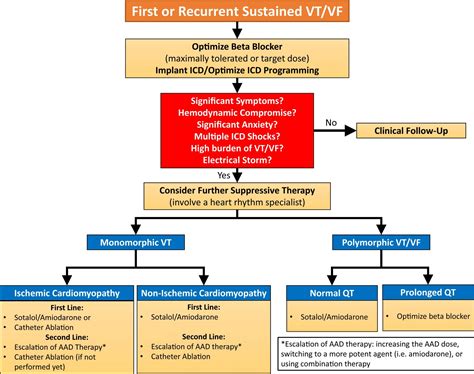 Wide Complex Tachycardia: Management – Cardio Guide