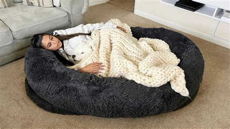 MiLounge, The World's Most Comfortable Human Dog Bed, Lives Up To The Hype - Digital Journal