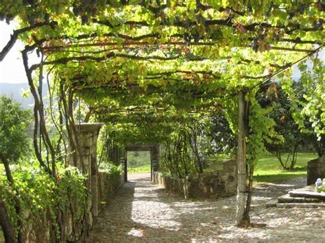 30 fascinating grape arbor ideas – the perfect patio decor