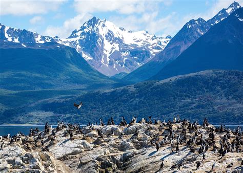 Patagonian Delights | South America Tourism Office