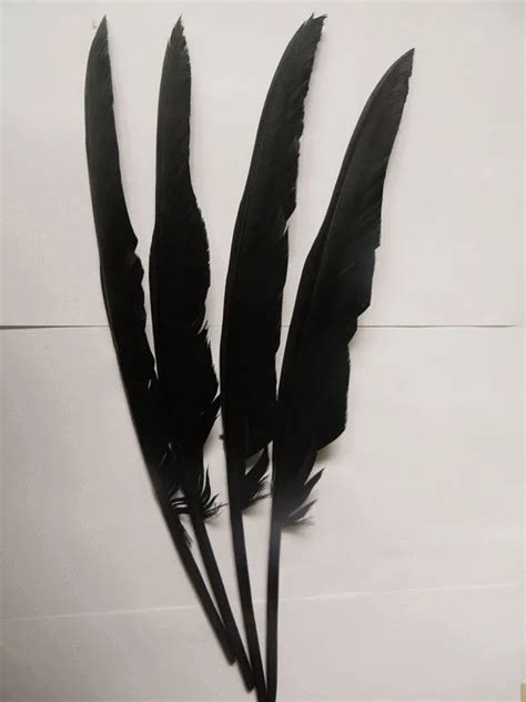 Aliexpress.com : Buy Wholesale 50PCS beautiful dyeing raven feathers 30 35 cm from Reliable ...