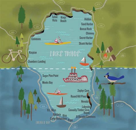 Top 8 Beaches in Lake Tahoe! | Tahoe beaches, Lake tahoe summer, Lake ...