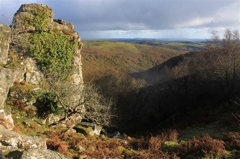 Best Dartmoor Wildlife, Dartmoor, Dartmoor National Park