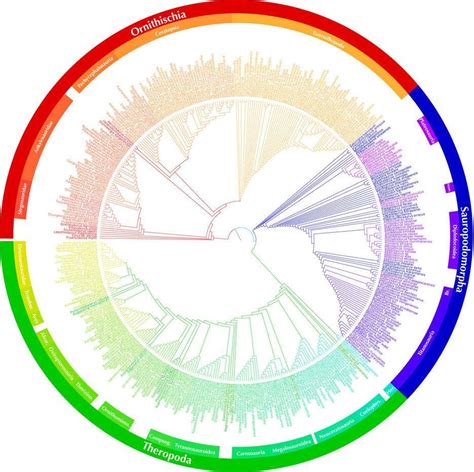 Dinosaur evolutionary tree unveiled | New Scientist