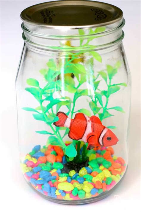 Mason Jar Aquarium - Design Dazzle