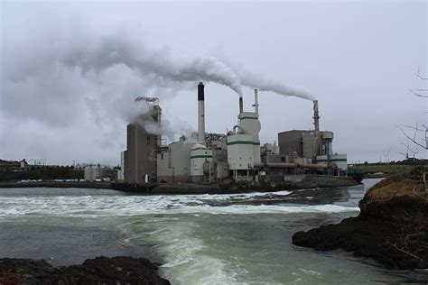 paper mill, st john, nova scotia, reversing falls, processing, canada, water, pollution, factory ...