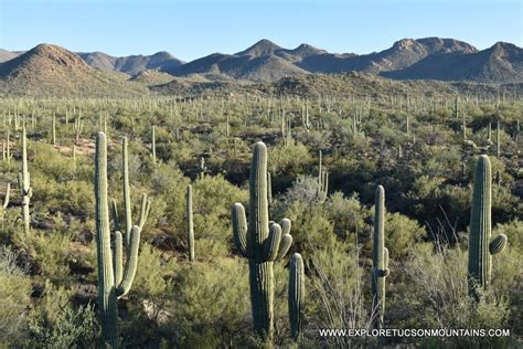 Best Hiking Trails - Tucson Mountains - Explore the Tucson Mountains