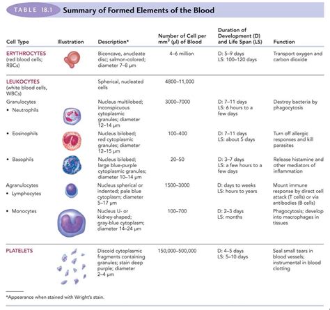 Blood Components, Hemoglobin, Type/Rh Factor, Agglutination - Antranik.org