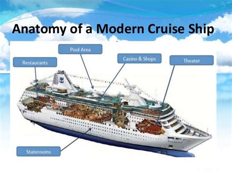 Cruise Ship Anatomy - Cruise Gallery