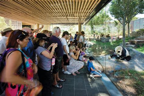 Giant Panda Bamboo Forest - Adelaide Zoo | ArchitectureAu