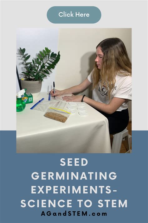 3 experiments to explore seed germination with children of all ages. in 2021 | Experiments ...