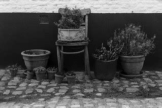 Still life in Beguinage of Diest | Taken with Leica M6 + Sum… | Flickr