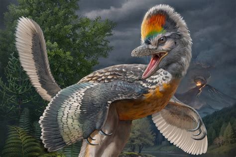 Dinossauro da China parecido com pássaro - 08/09/2023 - Ciência - Folha