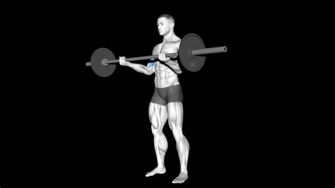 Barbell Curl – How To Video, Alternatives & More