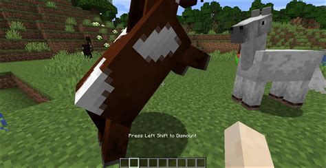 What Do Horses Eat In Minecraft : Horse Official Minecraft Wiki, Horses can eat near about ...