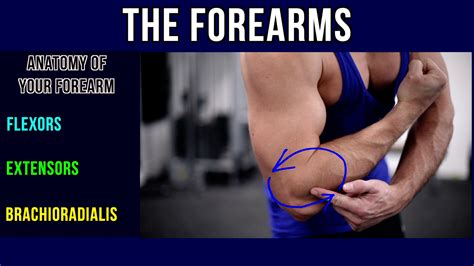 Forearms: The ONLY THREE Exercises You Need For Growth! | Muscular Strength