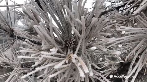 Incredible rime ice formations look like works of art - YouTube