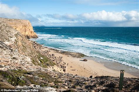 Innes National Park: Talented teenage surfer is mauled to death by a shark near Ethel Beach in ...