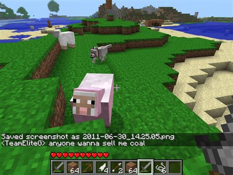 Pink Sheep Picture Minecraft Map