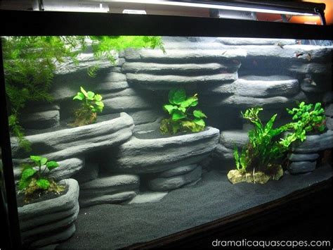 Beautiful Aquarium Landscape with Rocks and Plants