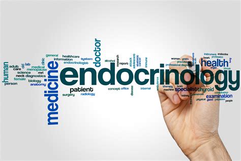 What Is Endocrinology? | American Association of Clinical Endocrinology