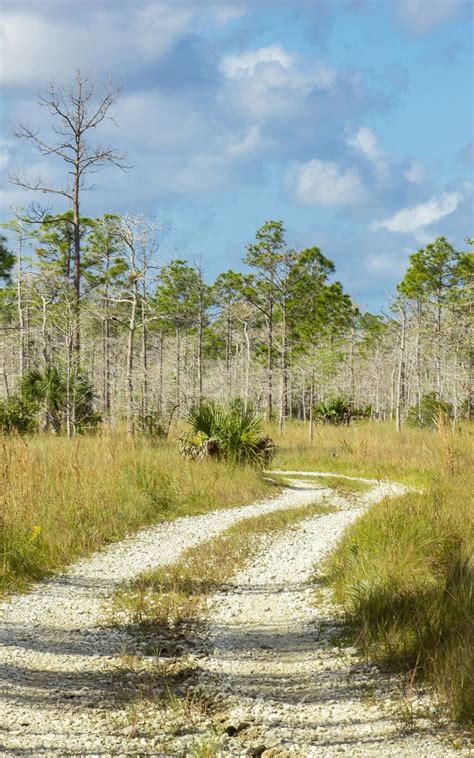 Hiking The Everglades Trails and Photographing Its Beautiful ...