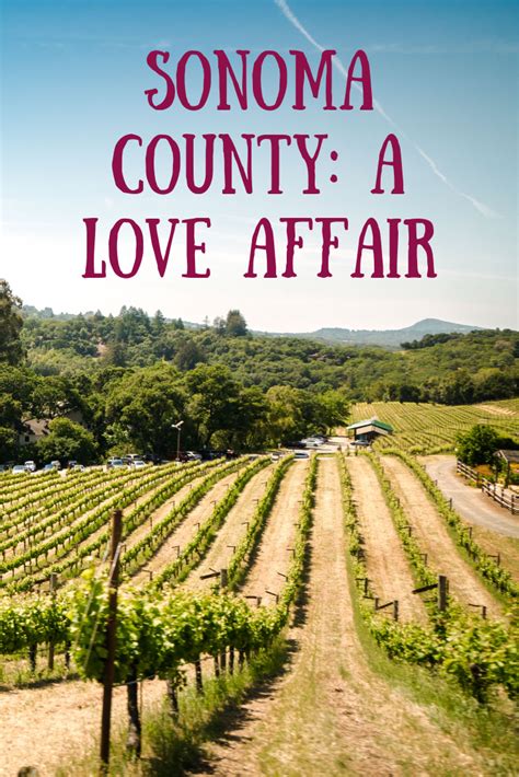 Sonoma County and Wine Tourism: A Love Affair | Sonoma wine tours, Wine ...