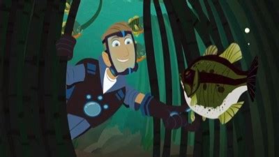 Wild Kratts - Aired Order - All Seasons - TheTVDB.com