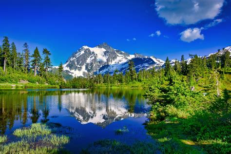 5 Incredible Reasons to Visit Artist Point at Mt. Baker