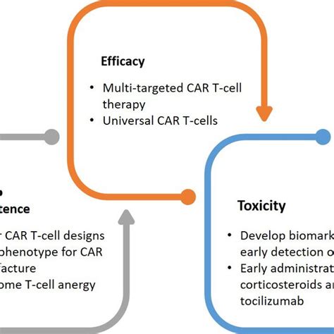 Phase 2 clinical trials of CAR T-cell therapy in DLBCL, mantle cell ...