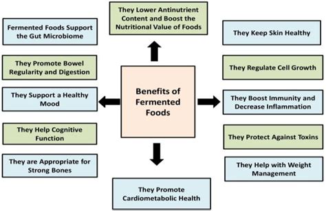 The most notable health benefits of fermented foods. | Download Scientific Diagram