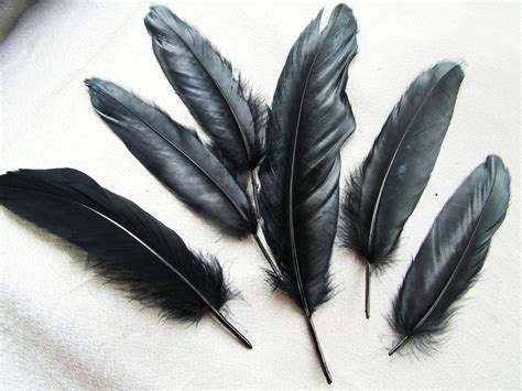 Image result for ravens feather | Raven feather, Black bird tattoo, Crow feather