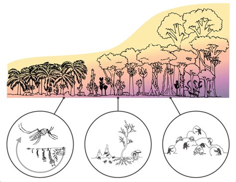 Microclimate And Forest Density Drive Plant Population, 54% OFF