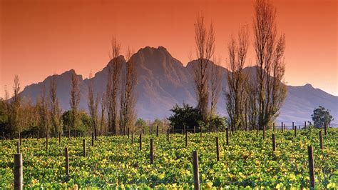 Franschhoek, ZA holiday accommodation from AU$ 139/night | Stayz