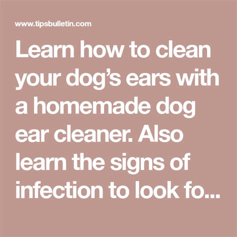 Learn how to clean your dog’s ears with a homemade dog ear cleaner ...