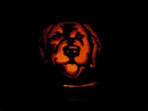 Golden Retriever Pumpkin Carving - Top 3