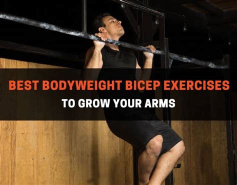 10 Best Bodyweight Bicep Exercises To Grow Your Arms | PowerliftingTechnique.com