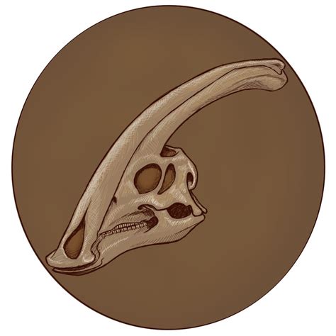 Parasaurolophus Skull : Dinosaurs