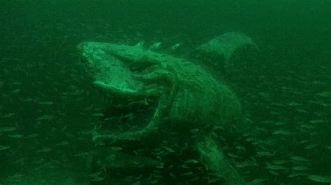 Big monster in Neuchatel lake | SEE the monster shot by CHASING Gladius ...