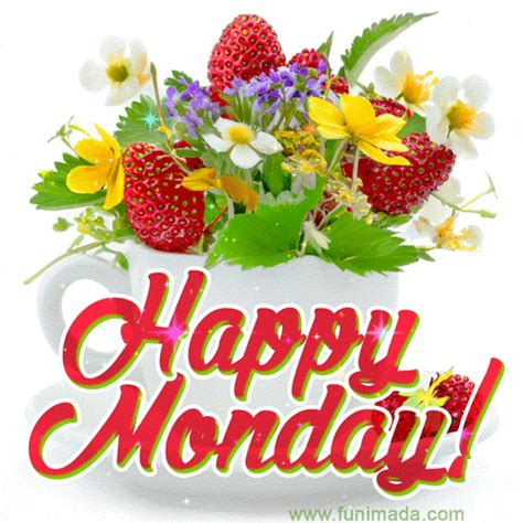 Good Morning Happy Monday Images Gif - Infoupdate.org